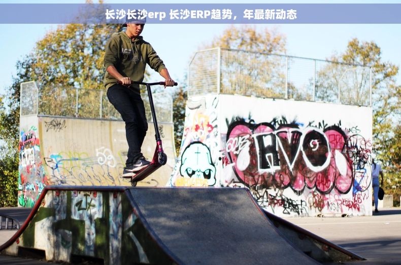 长沙长沙erp 长沙ERP趋势，年最新动态