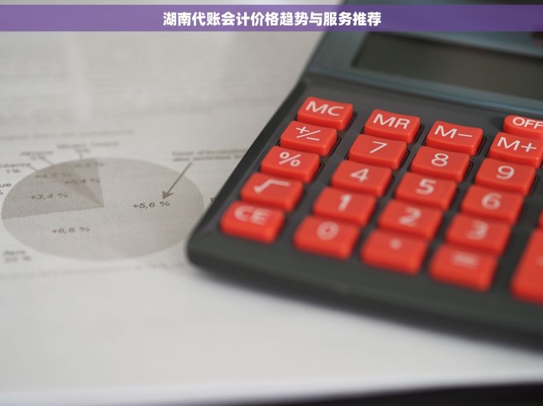 湖南代账会计价格趋势与服务推荐