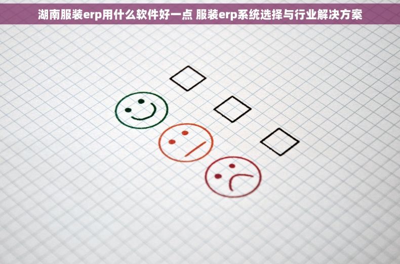 湖南服装erp用什么软件好一点 服装erp系统选择与行业解决方案