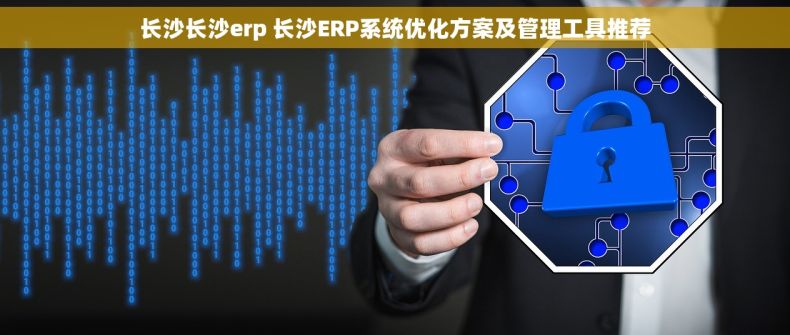 长沙长沙erp 长沙ERP系统优化方案及管理工具推荐