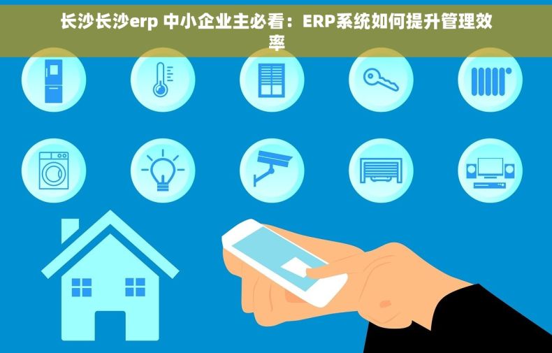 长沙长沙erp 中小企业主必看：ERP系统如何提升管理效率
