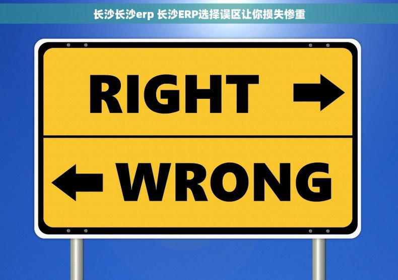 长沙长沙erp 长沙ERP选择误区让你损失惨重