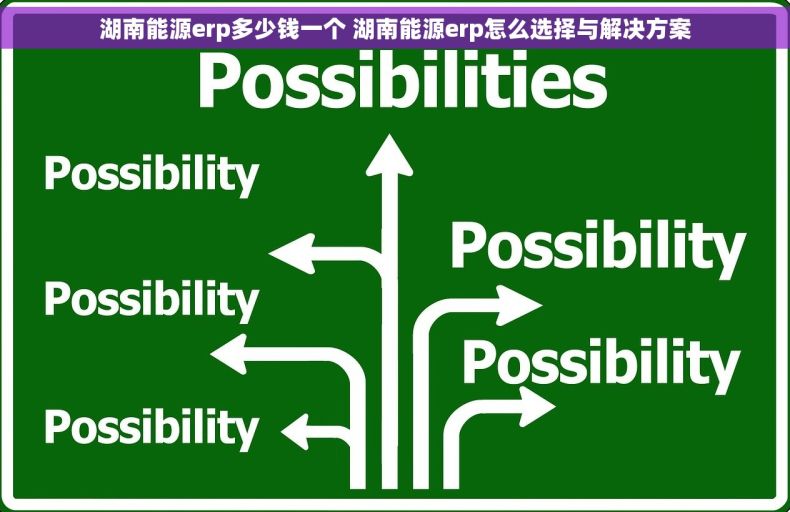 湖南能源erp多少钱一个 湖南能源erp怎么选择与解决方案