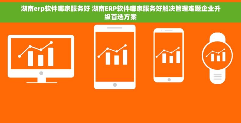湖南erp软件哪家服务好 湖南ERP软件哪家服务好解决管理难题企业升级首选方案