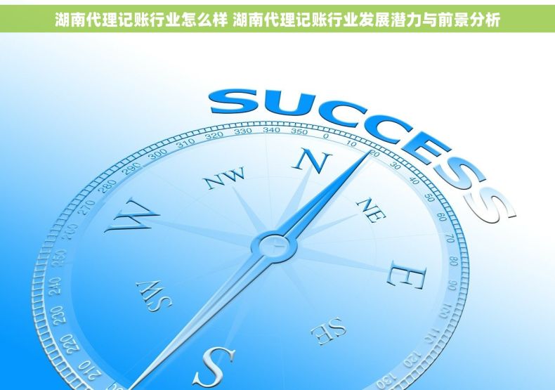 湖南代理记账行业怎么样 湖南代理记账行业发展潜力与前景分析