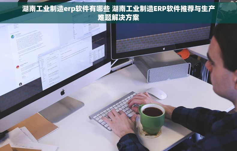 湖南工业制造erp软件有哪些 湖南工业制造ERP软件推荐与生产难题解决方案