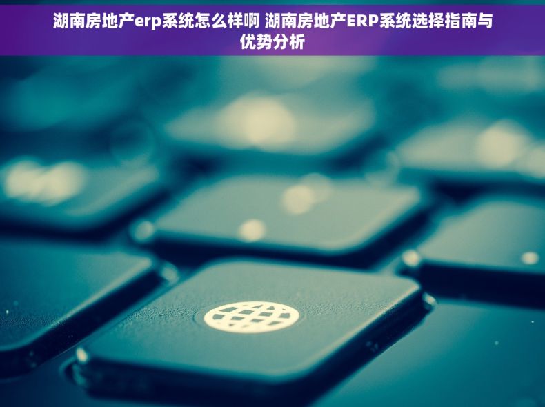 湖南房地产erp系统怎么样啊 湖南房地产ERP系统选择指南与优势分析