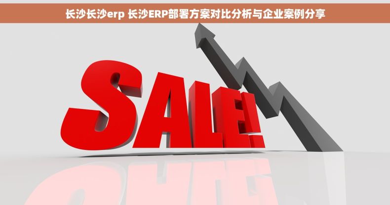 长沙长沙erp 长沙ERP部署方案对比分析与企业案例分享
