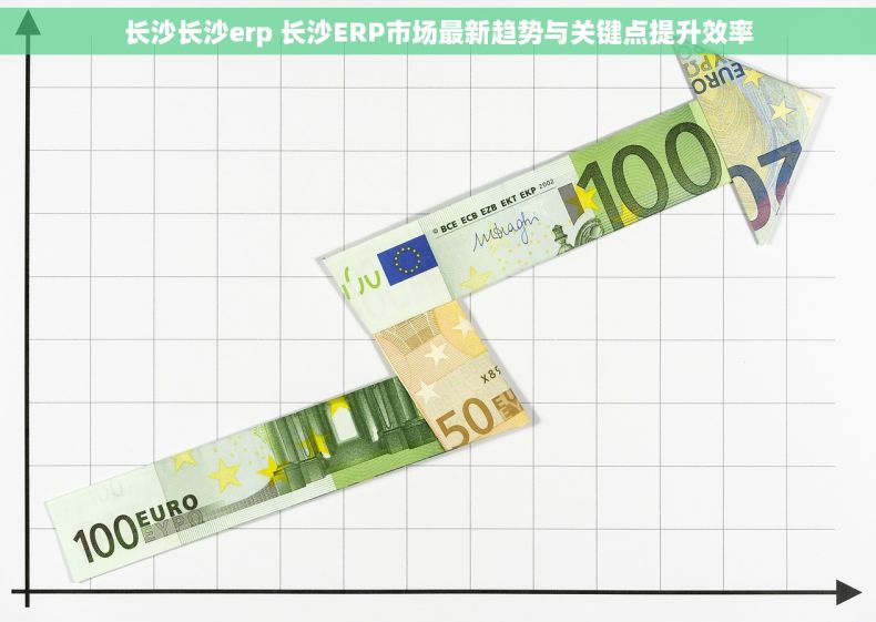 长沙长沙erp 长沙ERP市场最新趋势与关键点提升效率