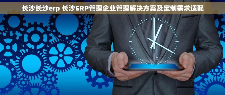 长沙长沙erp 长沙ERP管理企业管理解决方案及定制需求适配