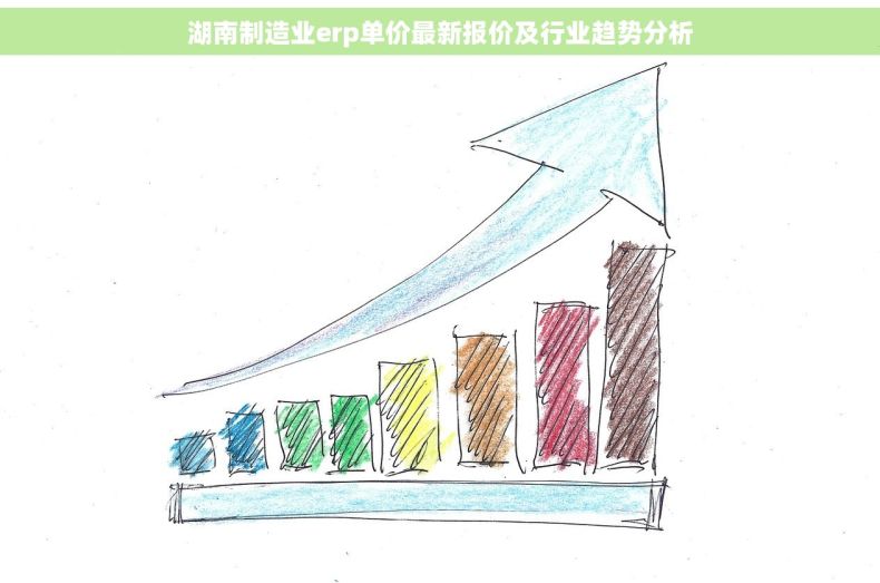 湖南制造业erp单价最新报价及行业趋势分析