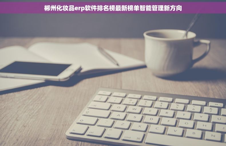 郴州化妆品erp软件排名榜最新榜单智能管理新方向