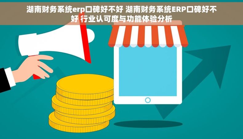 湖南财务系统erp口碑好不好 湖南财务系统ERP口碑好不好 行业认可度与功能体验分析