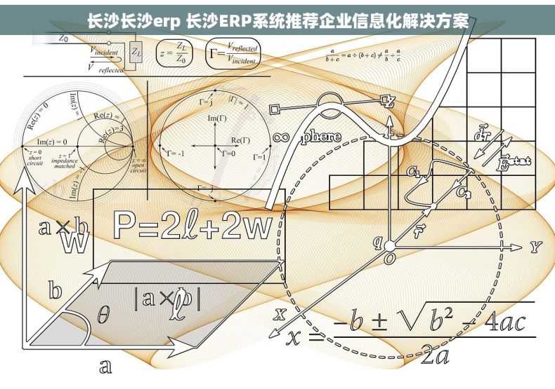长沙长沙erp 长沙ERP系统推荐企业信息化解决方案