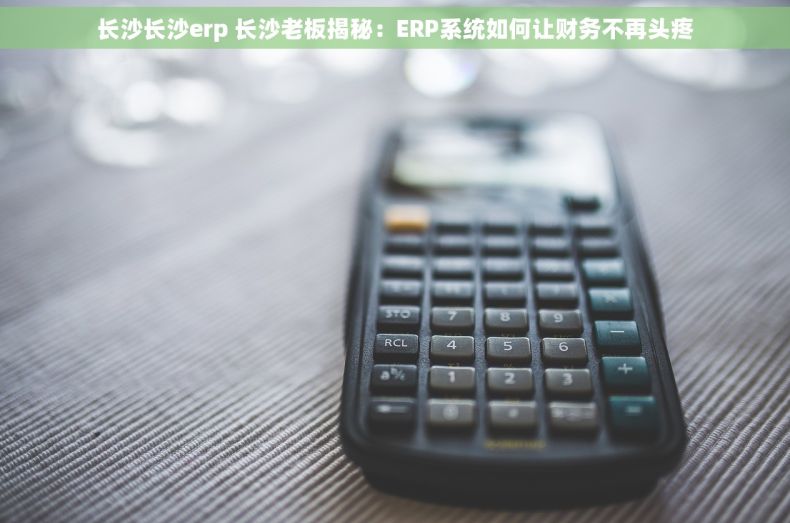 长沙长沙erp 长沙老板揭秘：ERP系统如何让财务不再头疼