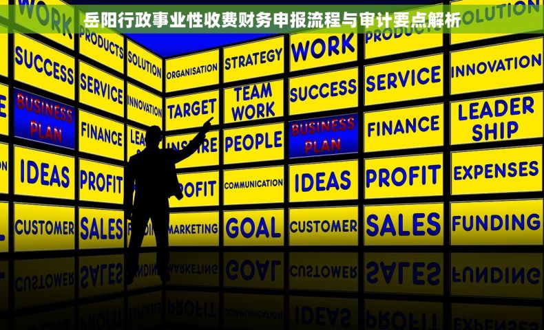 岳阳行政事业性收费财务申报流程与审计要点解析