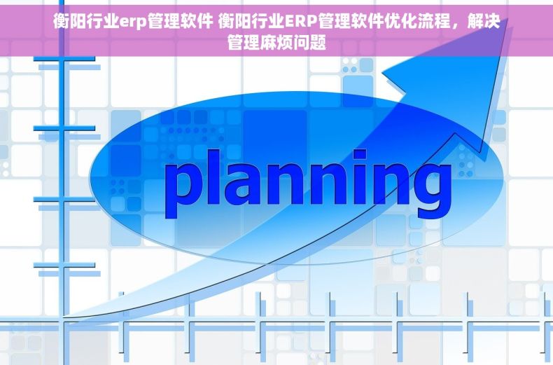 衡阳行业erp管理软件 衡阳行业ERP管理软件优化流程，解决管理麻烦问题