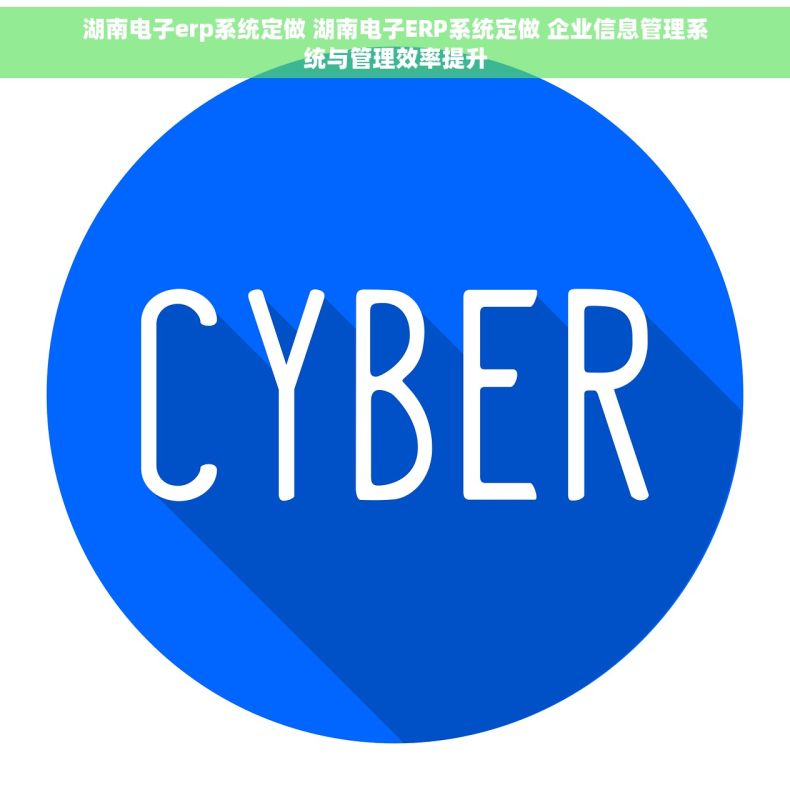 湖南电子erp系统定做 湖南电子ERP系统定做 企业信息管理系统与管理效率提升