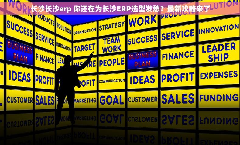 长沙长沙erp 你还在为长沙ERP选型发愁？最新攻略来了