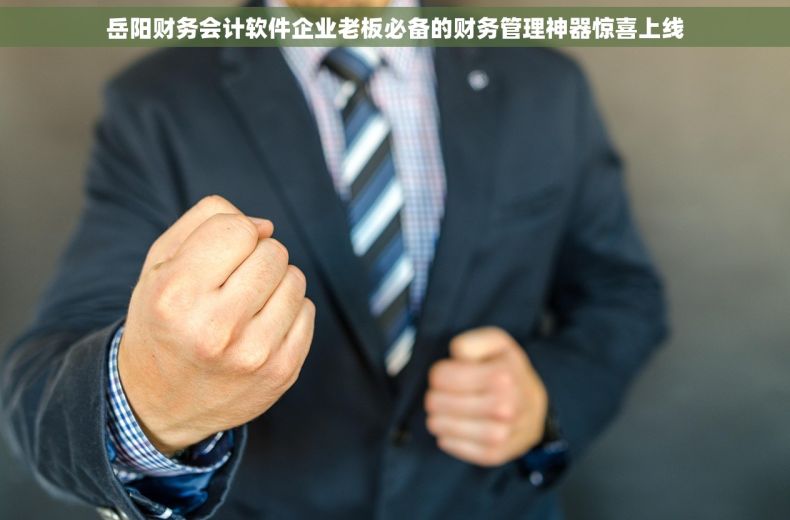 岳阳财务会计软件企业老板必备的财务管理神器惊喜上线