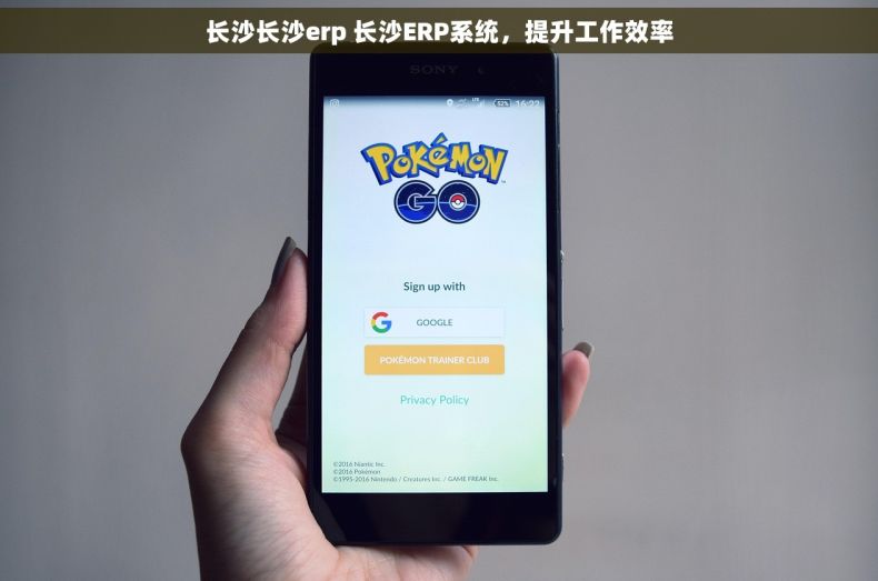长沙长沙erp 长沙ERP系统，提升工作效率
