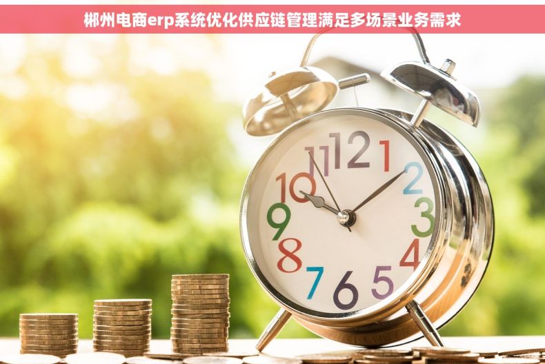 郴州电商erp系统优化供应链管理满足多场景业务需求