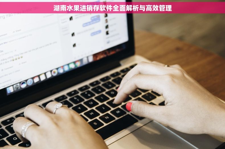 湖南水果进销存软件全面解析与高效管理