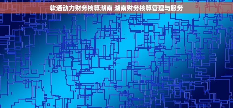 软通动力财务核算湖南 湖南财务核算管理与服务
