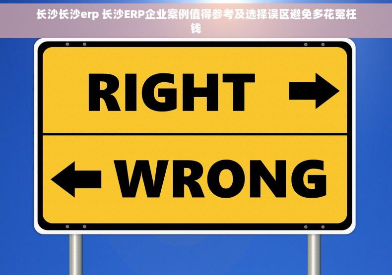 长沙长沙erp 长沙ERP企业案例值得参考及选择误区避免多花冤枉钱