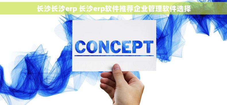 长沙长沙erp 长沙erp软件推荐企业管理软件选择