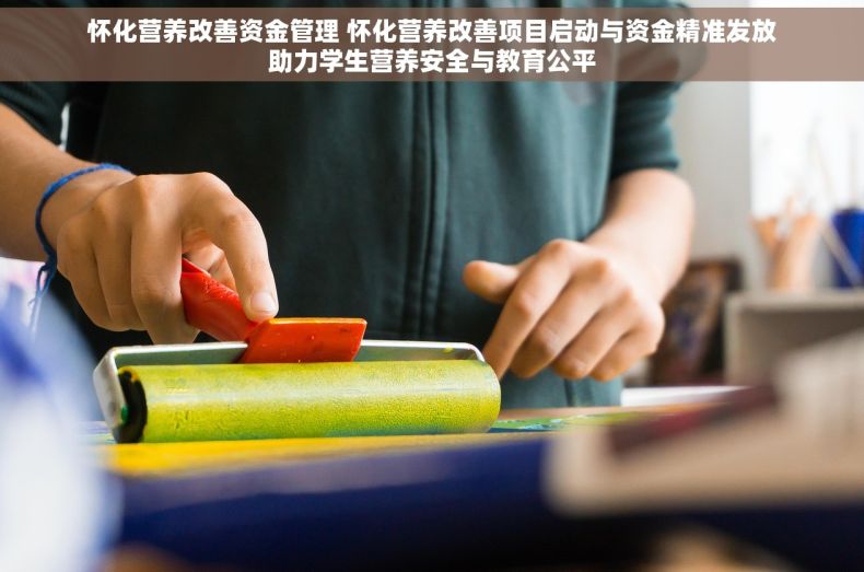怀化营养改善资金管理 怀化营养改善项目启动与资金精准发放助力学生营养安全与教育公平