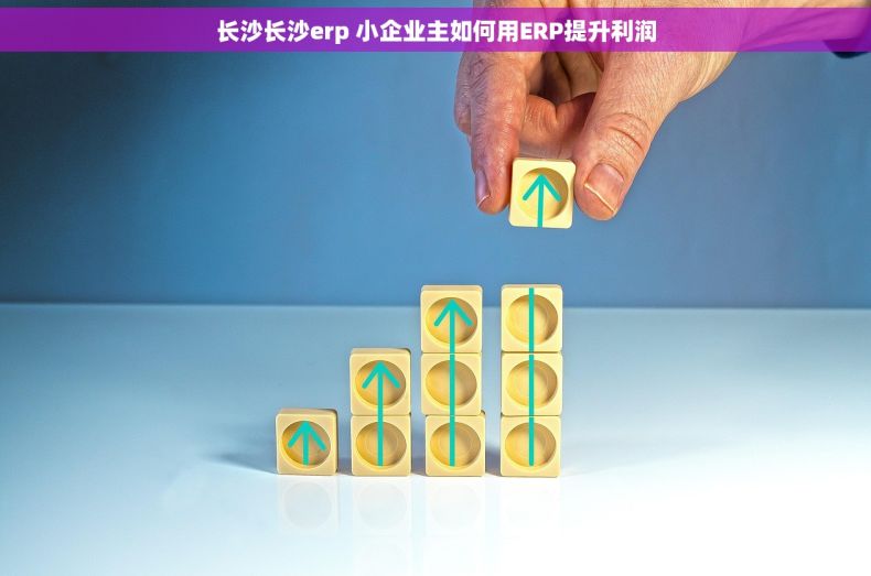 长沙长沙erp 小企业主如何用ERP提升利润