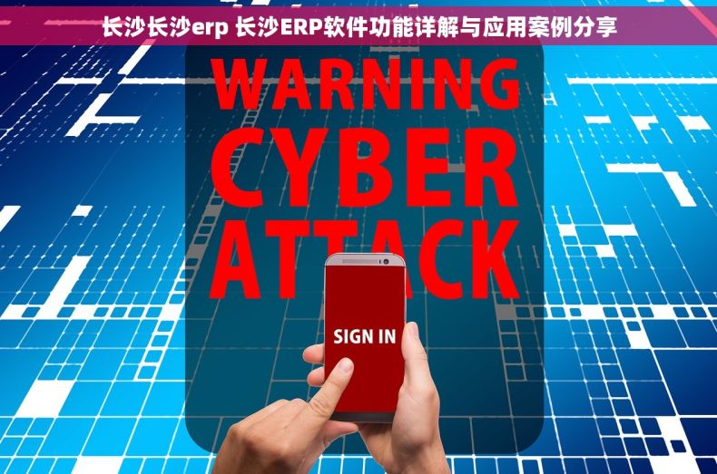 长沙长沙erp 长沙ERP软件功能详解与应用案例分享