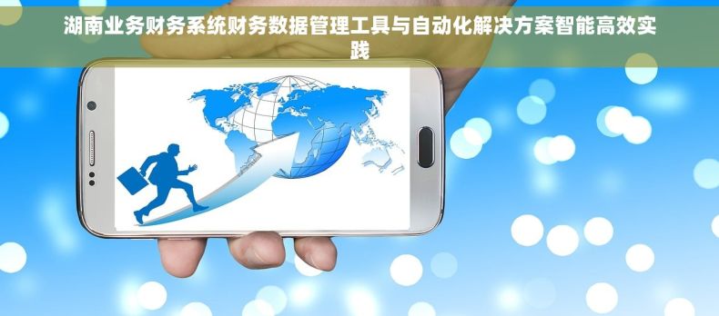 湖南业务财务系统财务数据管理工具与自动化解决方案智能高效实践