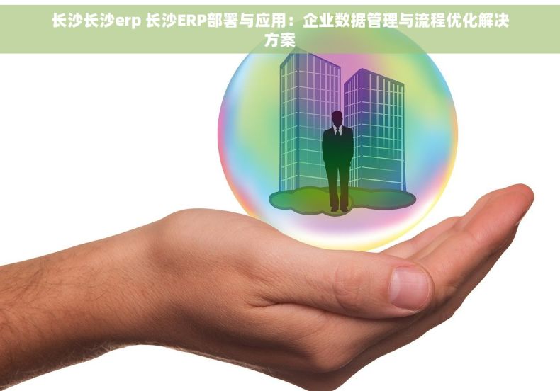 长沙长沙erp 长沙ERP部署与应用：企业数据管理与流程优化解决方案