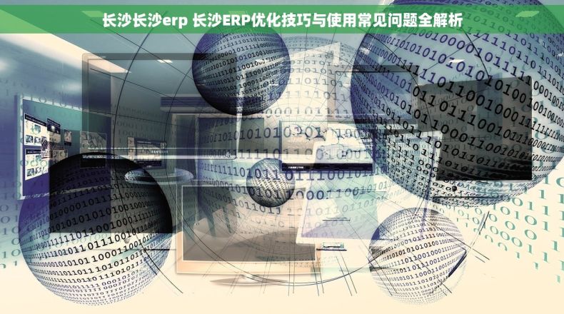 长沙长沙erp 长沙ERP优化技巧与使用常见问题全解析