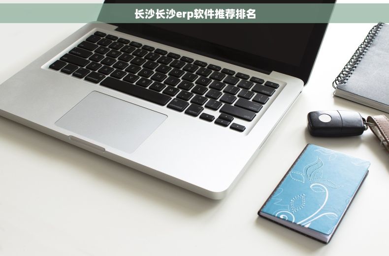 长沙长沙erp软件推荐排名