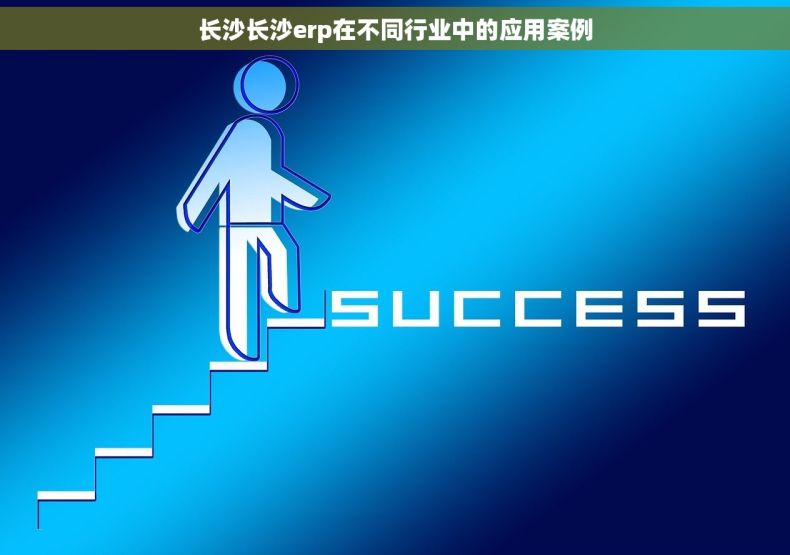 长沙长沙erp在不同行业中的应用案例