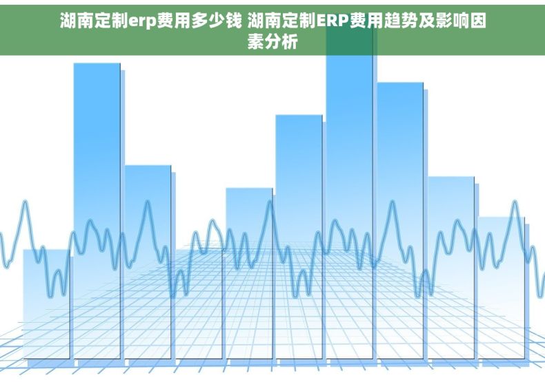 湖南定制erp费用多少钱 湖南定制ERP费用趋势及影响因素分析