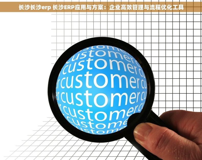 长沙长沙erp 长沙ERP应用与方案：企业高效管理与流程优化工具