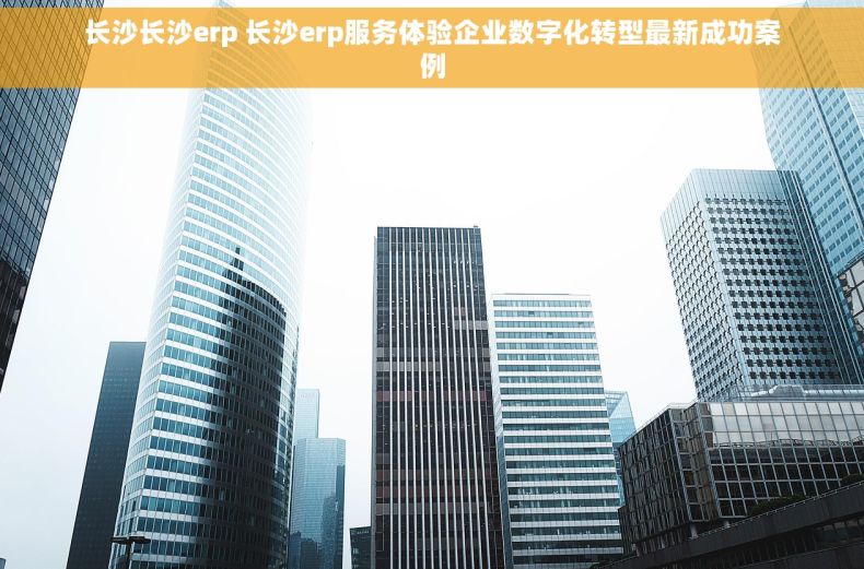 长沙长沙erp 长沙erp服务体验企业数字化转型最新成功案例