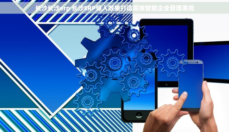 长沙长沙erp 长沙ERP惊人效果打造高效智能企业管理系统