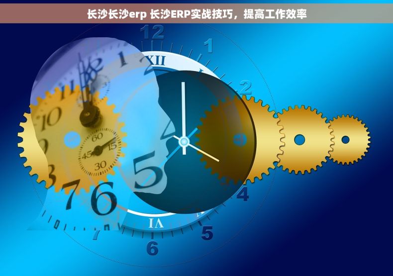 长沙长沙erp 长沙ERP实战技巧，提高工作效率
