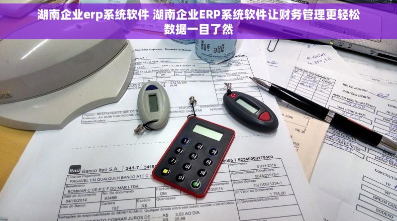 湖南企业erp系统软件 湖南企业ERP系统软件让财务管理更轻松数据一目了然