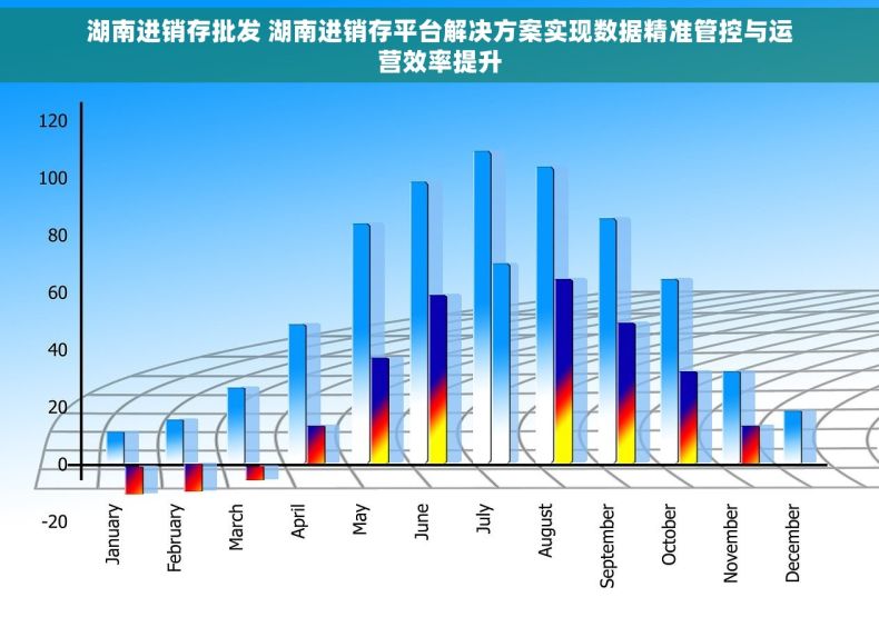 湖南进销存批发 湖南进销存平台解决方案实现数据精准管控与运营效率提升