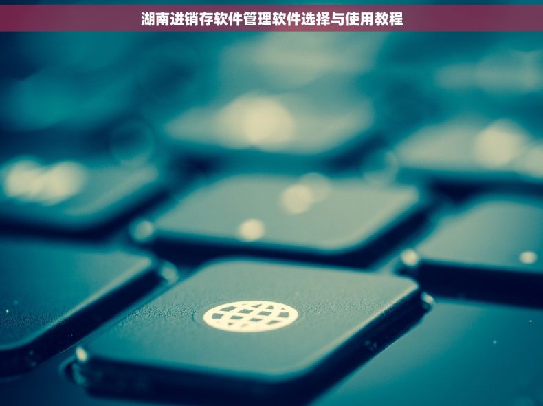 湖南进销存软件管理软件选择与使用教程