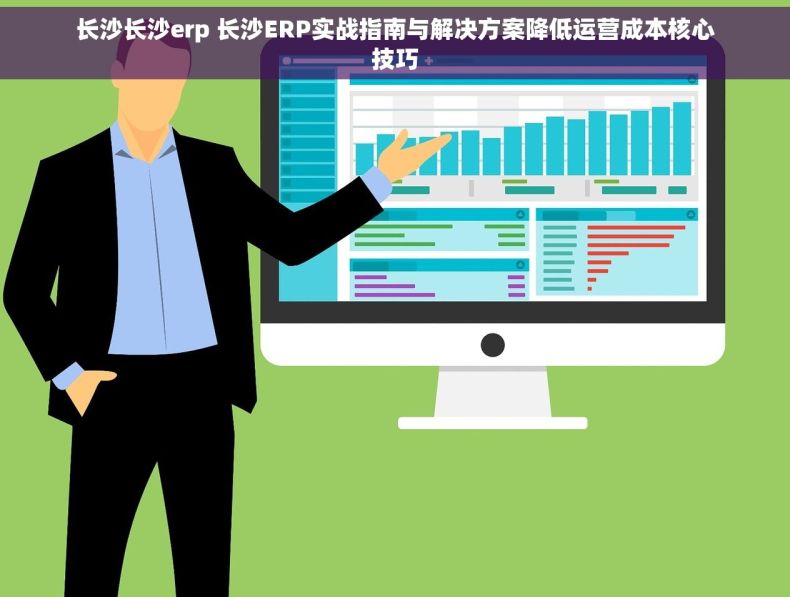 长沙长沙erp 长沙ERP实战指南与解决方案降低运营成本核心技巧