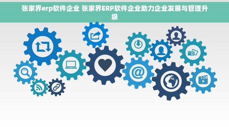 张家界erp软件企业 张家界ERP软件企业助力企业发展与管理升级
