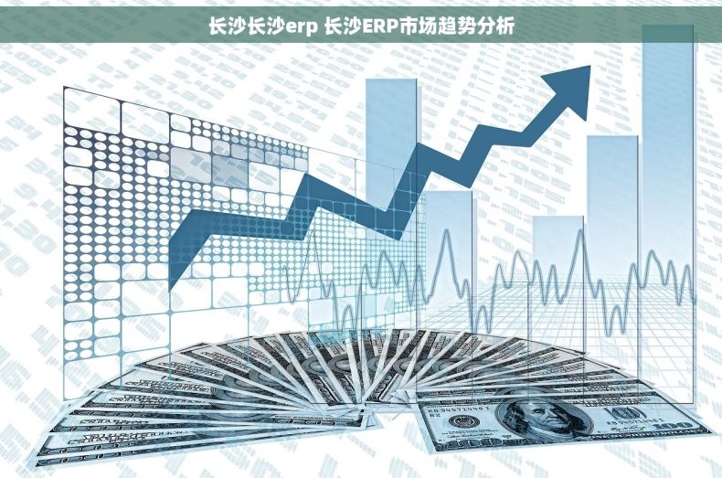 长沙长沙erp 长沙ERP市场趋势分析