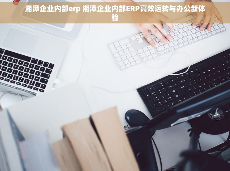 湘潭企业内部erp 湘潭企业内部ERP高效运转与办公新体验